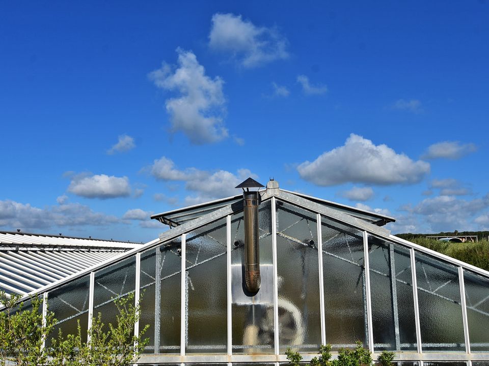 Farm hus i Olmedo, Sassari - foto 4